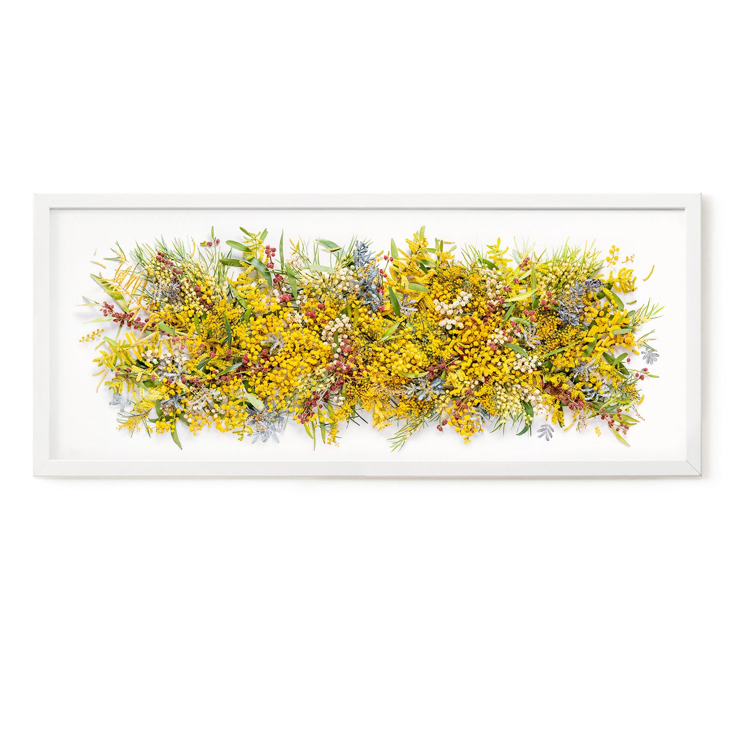 Wattle Tree Splash #5 of 25