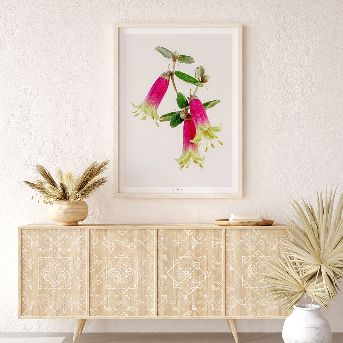 Correa ‘Canberra Bells’