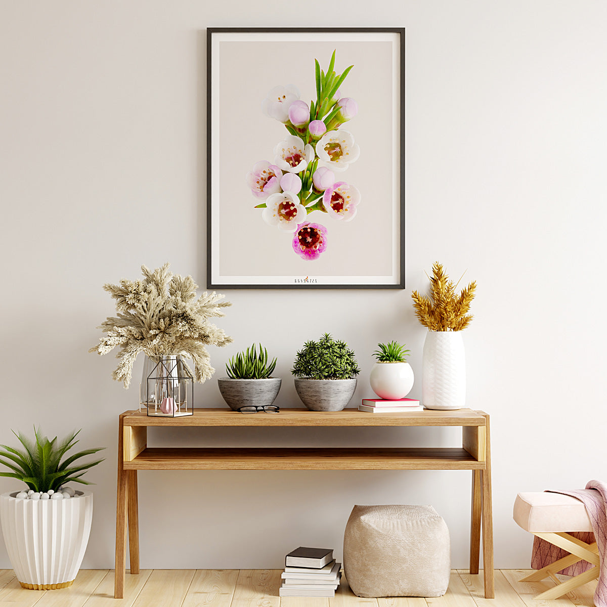 Geraldton Wax Flower