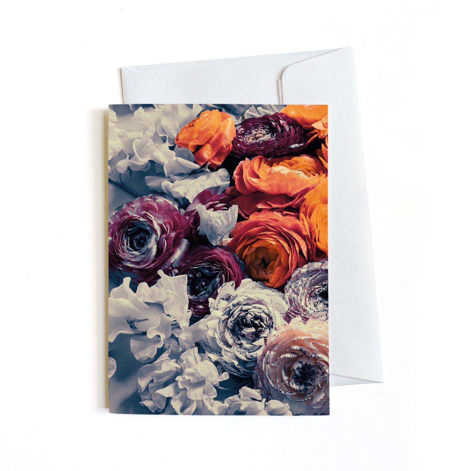 Greeting Cards | Full Set of 19