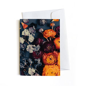 Greeting Cards | Full Set of 19