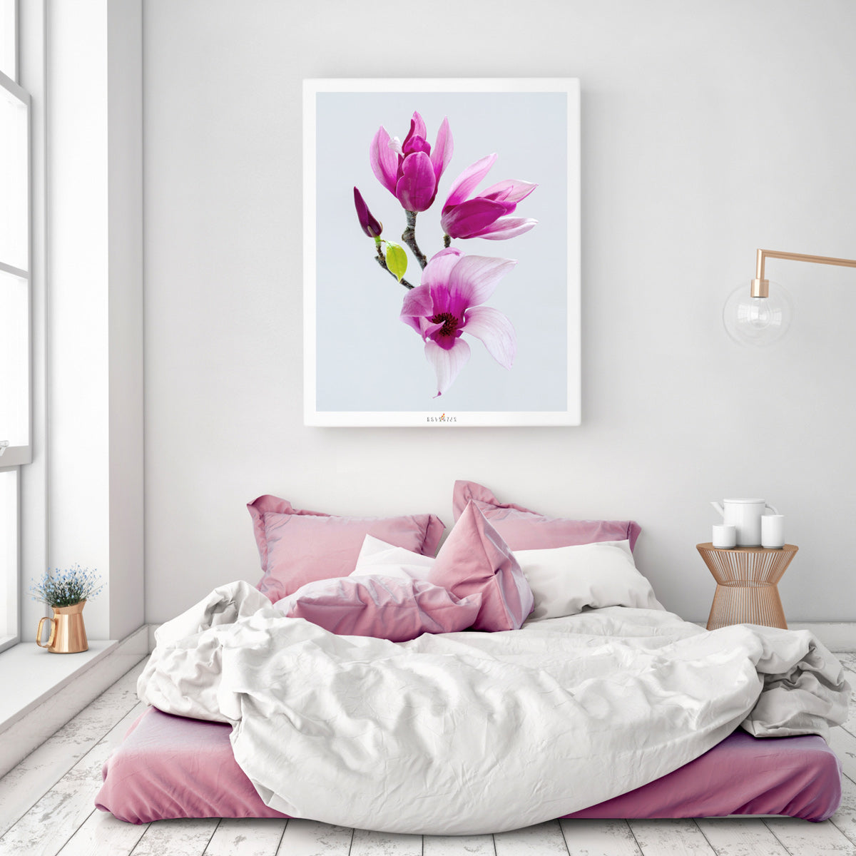 Magnolia 'Star Wars' | Classic