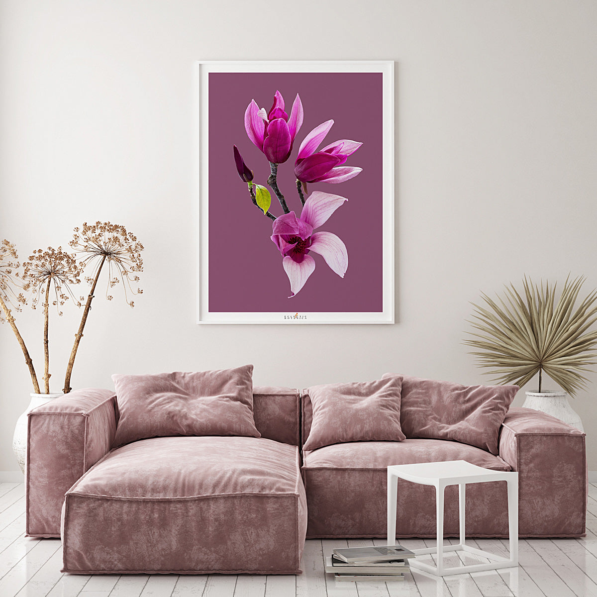 Magnolia 'Star Wars'