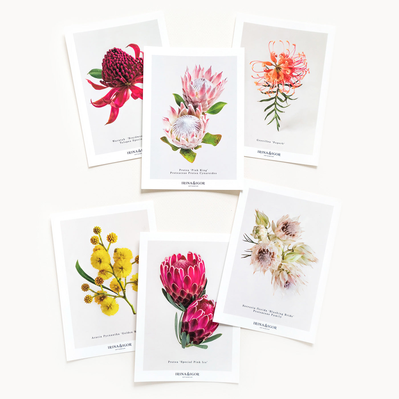 Postcards | Set of 6