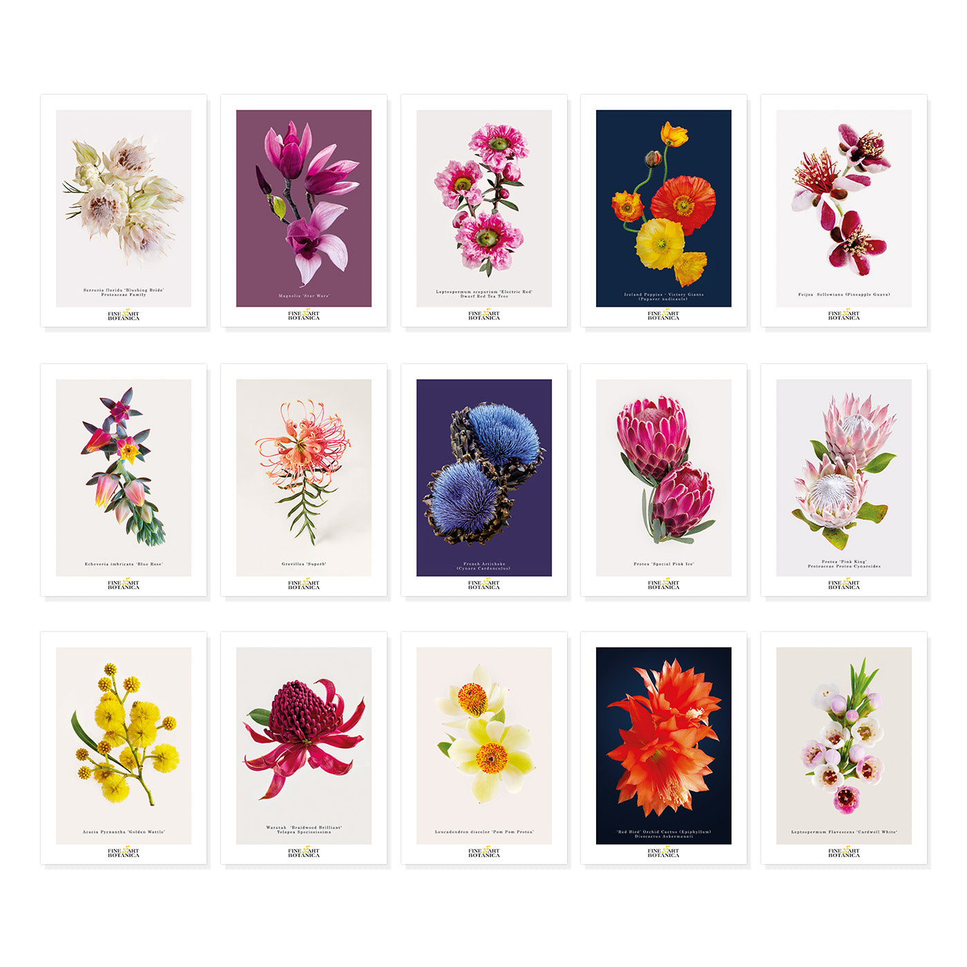 Postcards | Set of 15
