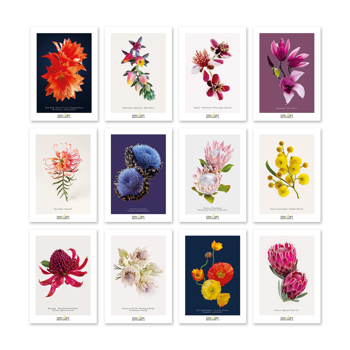 Postcards | Set of 12