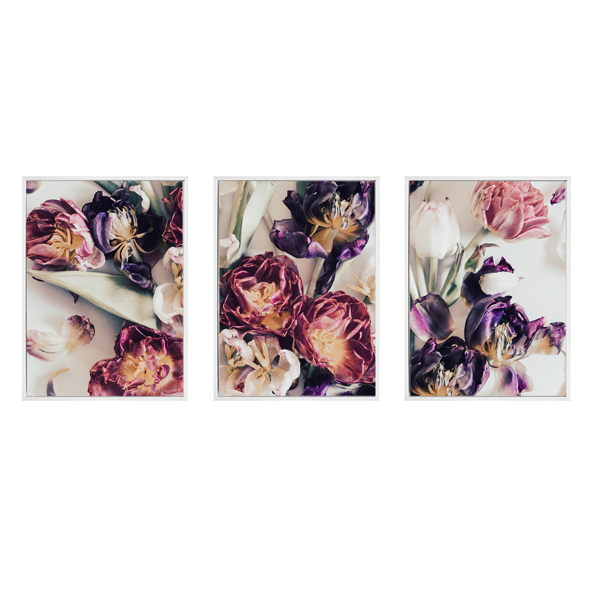 Tulip Mood | Set of 3