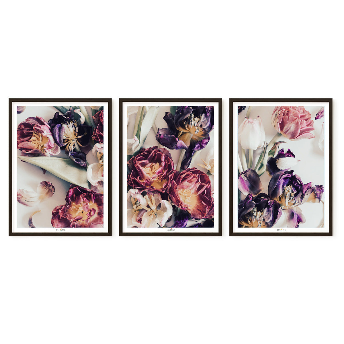 Tulip Mood | Set of 3