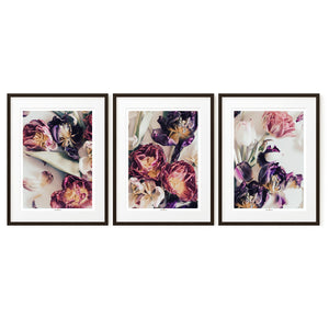 Tulip Mood | Set of 3