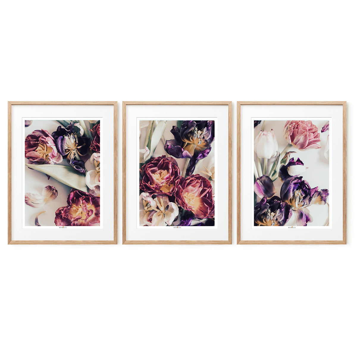 Tulip Mood | Set of 3