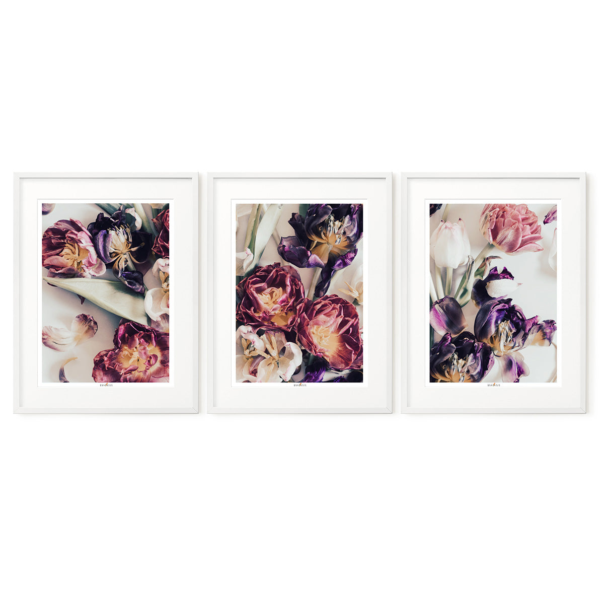 Tulip Mood | Set of 3