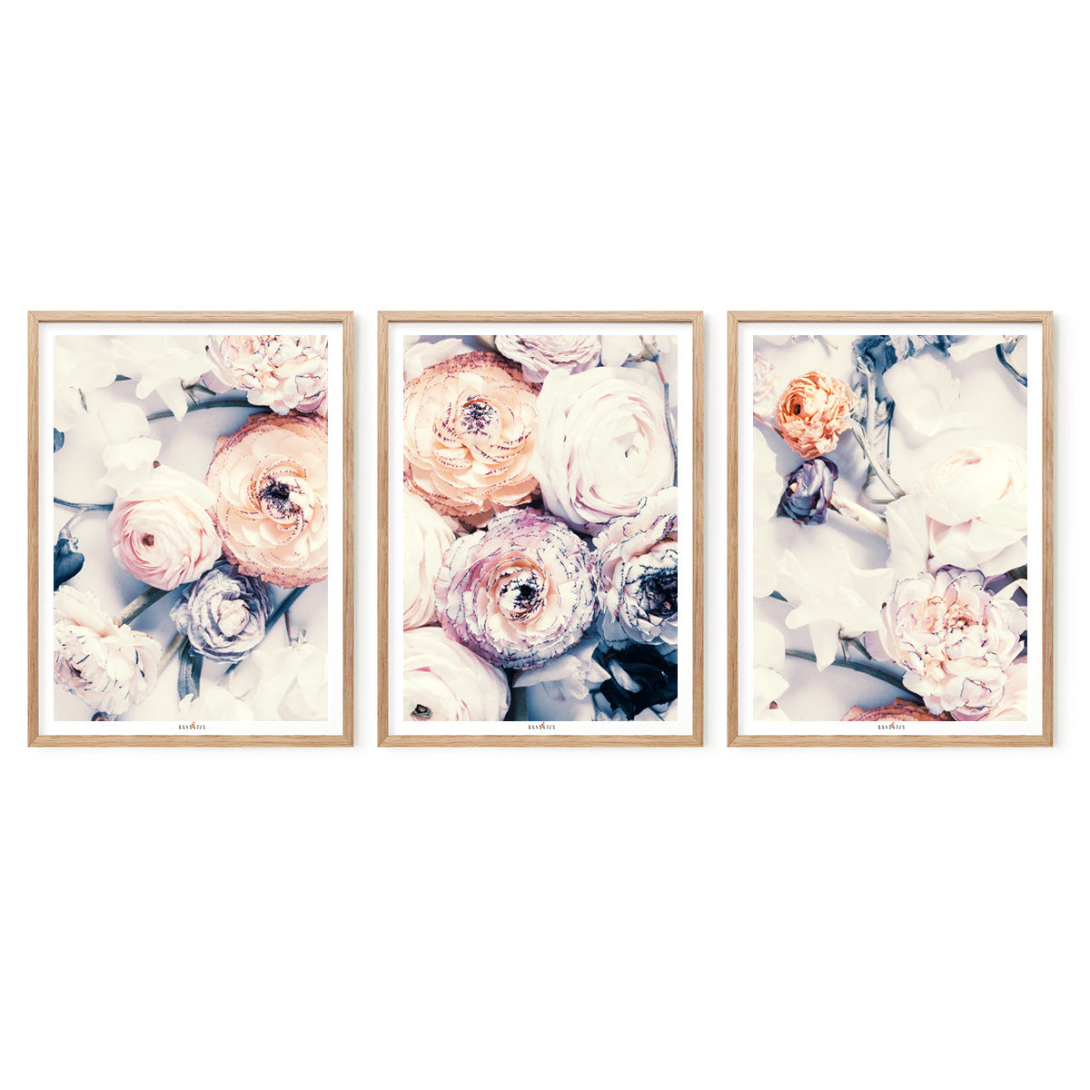 Pastel | Set of 3