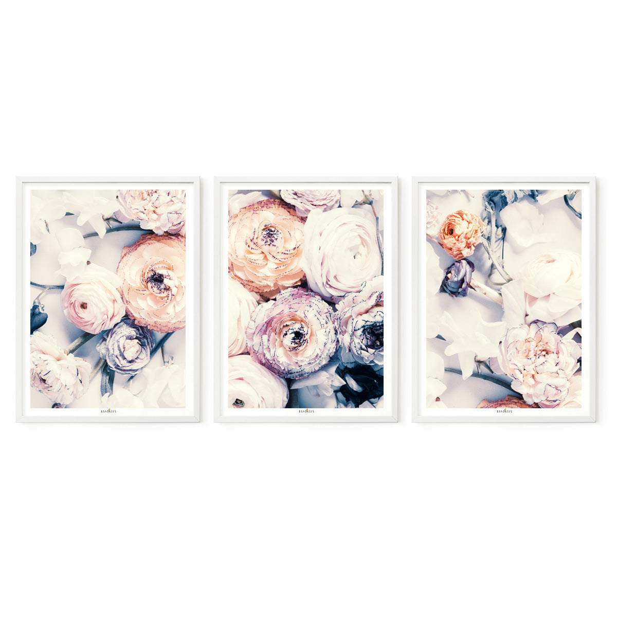 Pastel | Set of 3