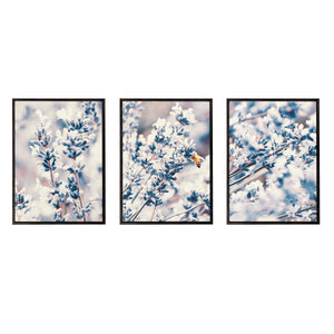 Lavender | Set of 3