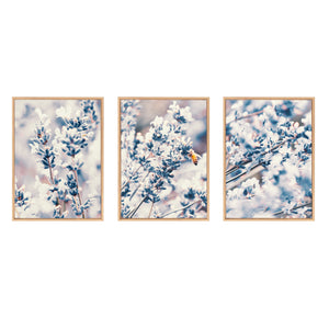 Lavender | Set of 3