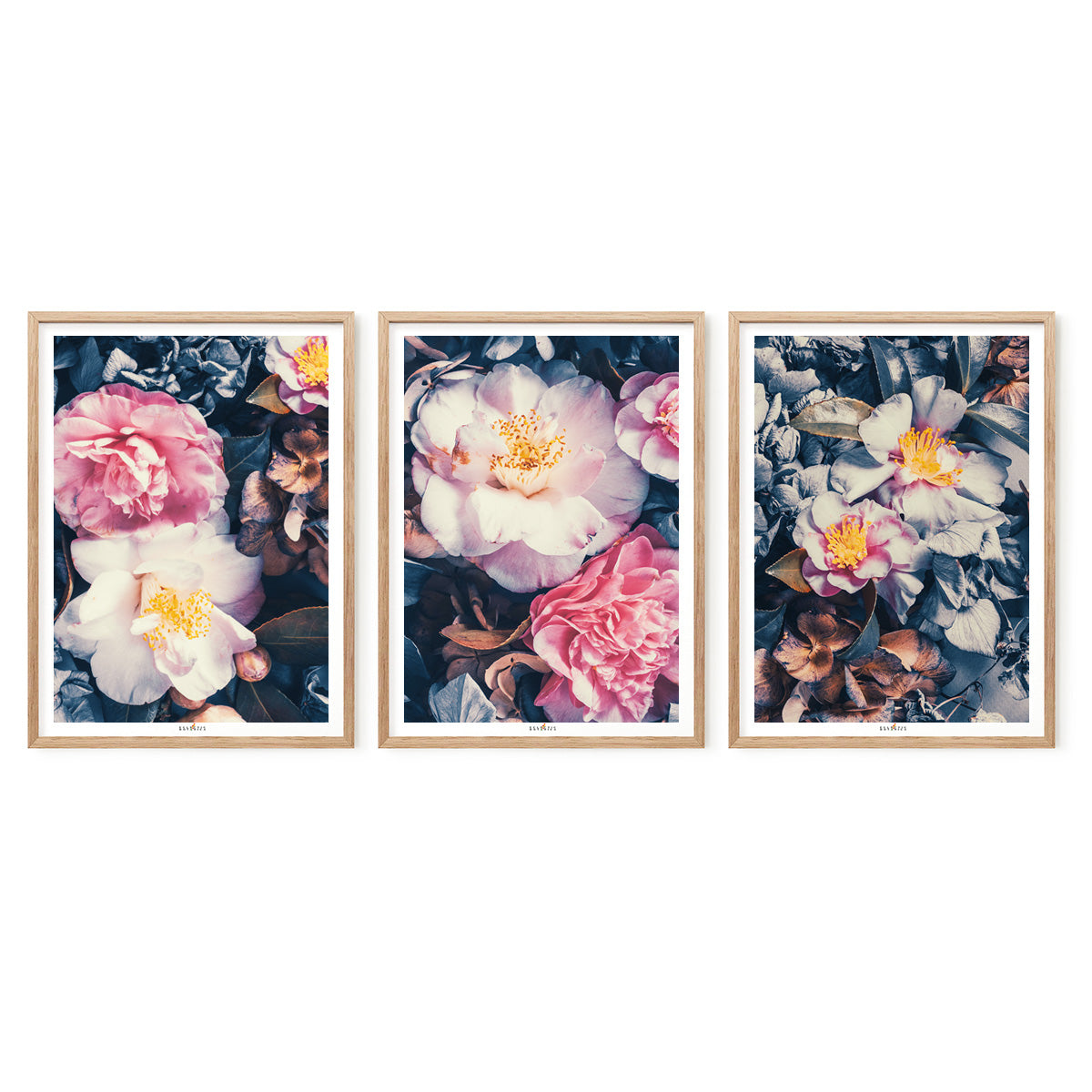 Camellias | Set of 3