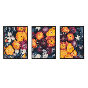 Cloud Of Orange | Set of 3