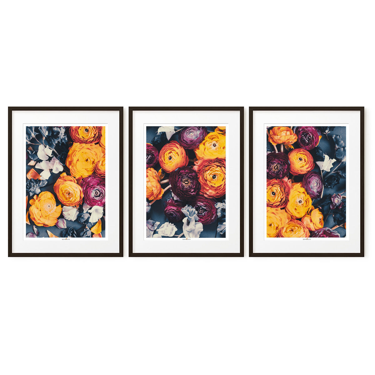 Cloud Of Orange | Set of 3