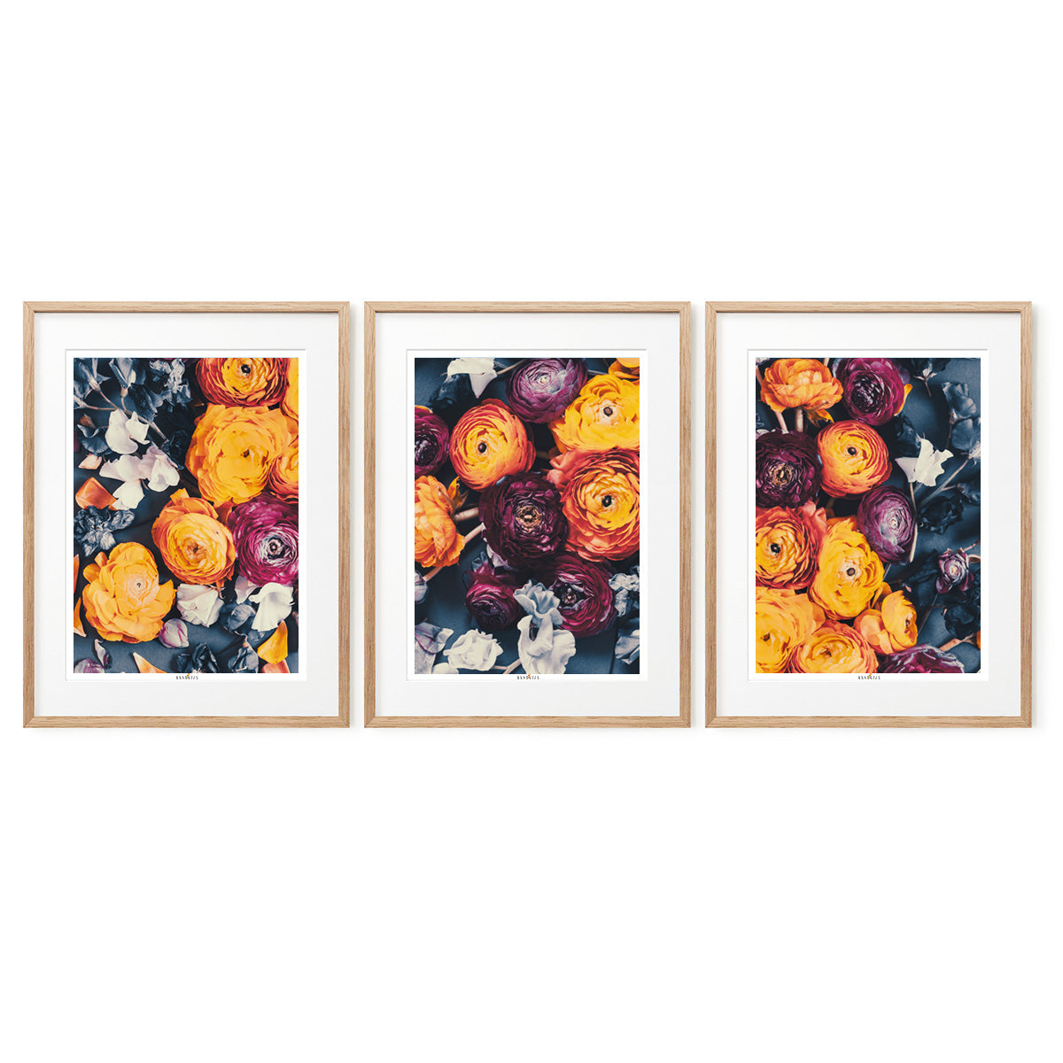 Cloud Of Orange | Set of 3