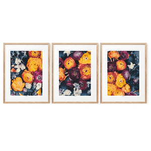 Cloud Of Orange | Set of 3