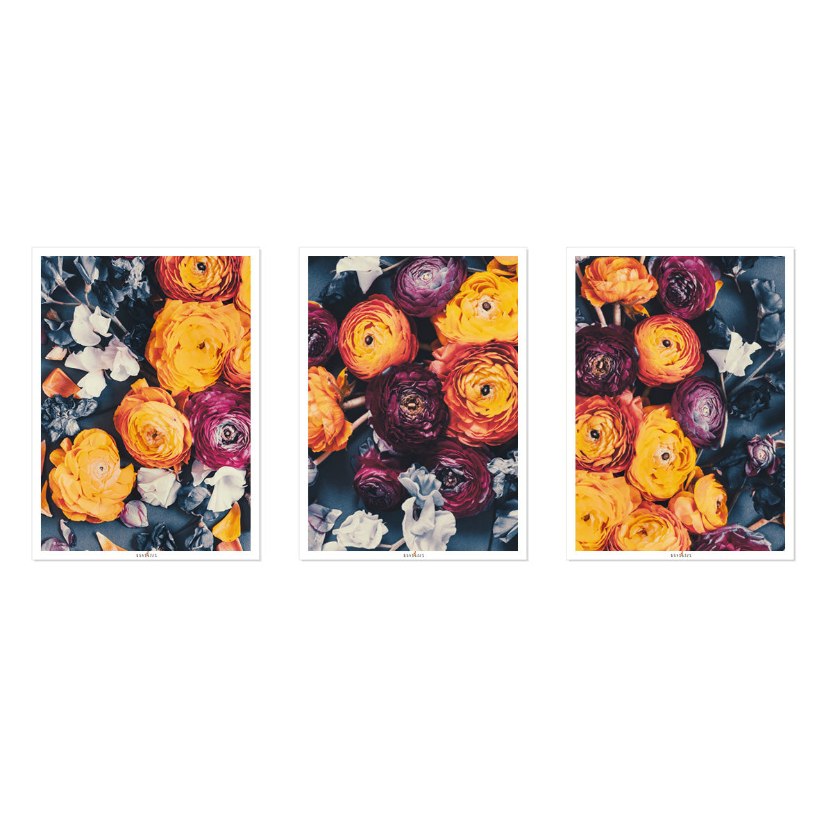 Cloud Of Orange | Set of 3