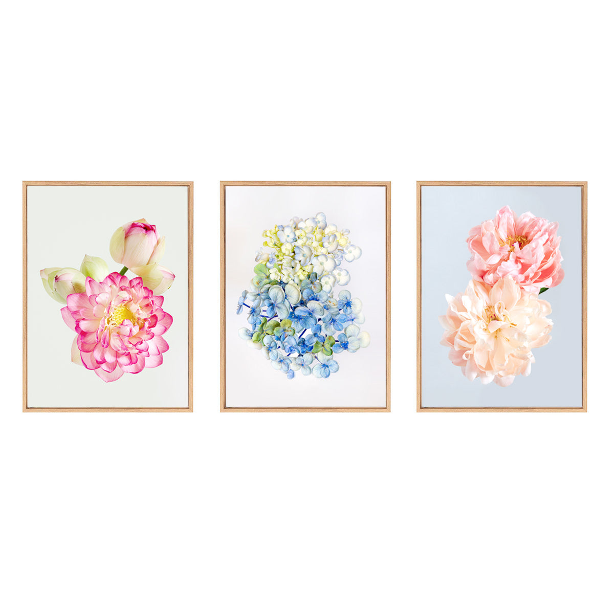 Pastel Mood | Set of 3