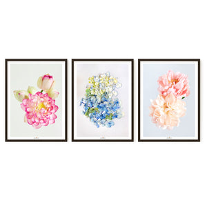 Pastel Mood | Set of 3