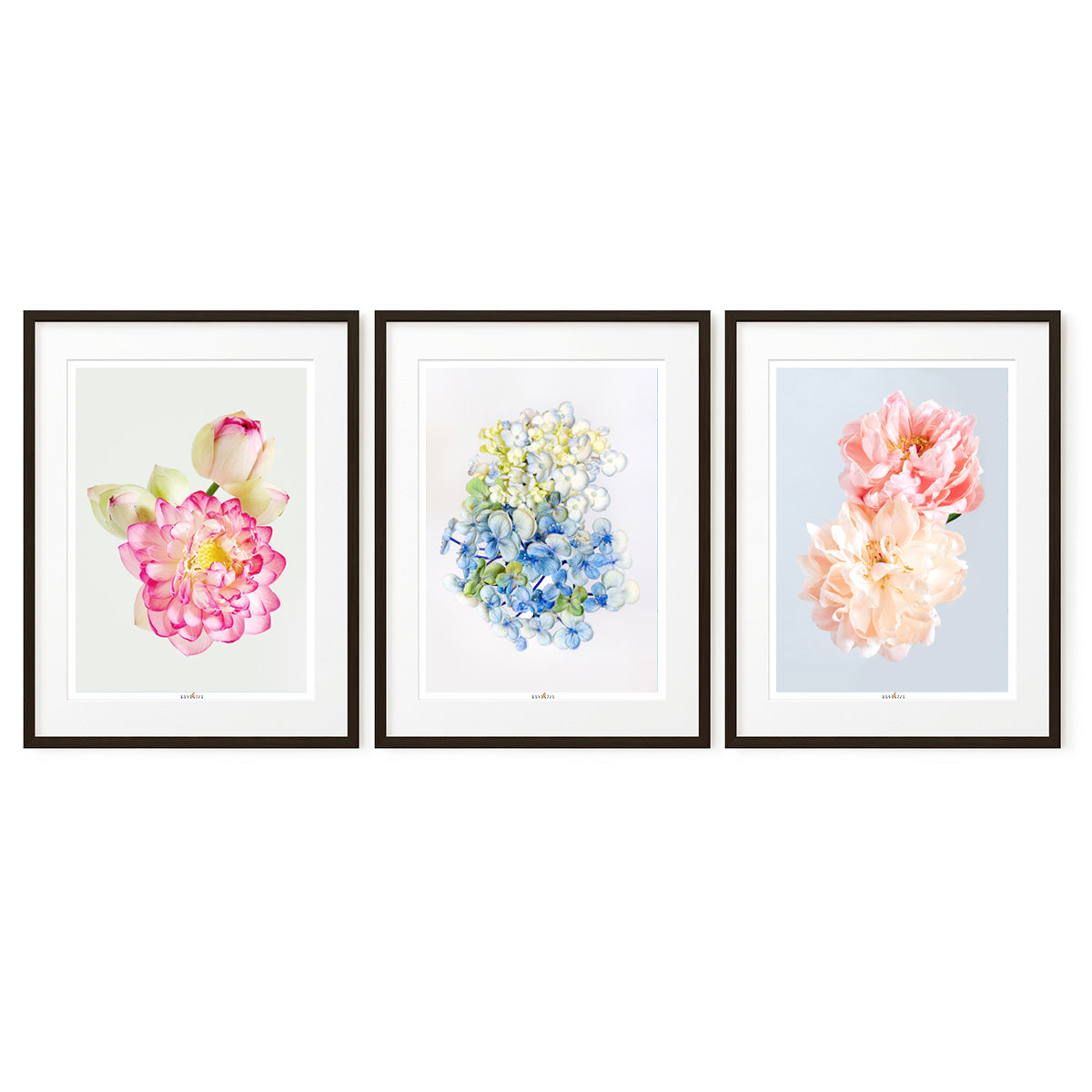 Pastel Mood | Set of 3