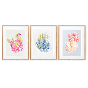 Pastel Mood | Set of 3