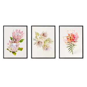 Tenderness | Set of 3