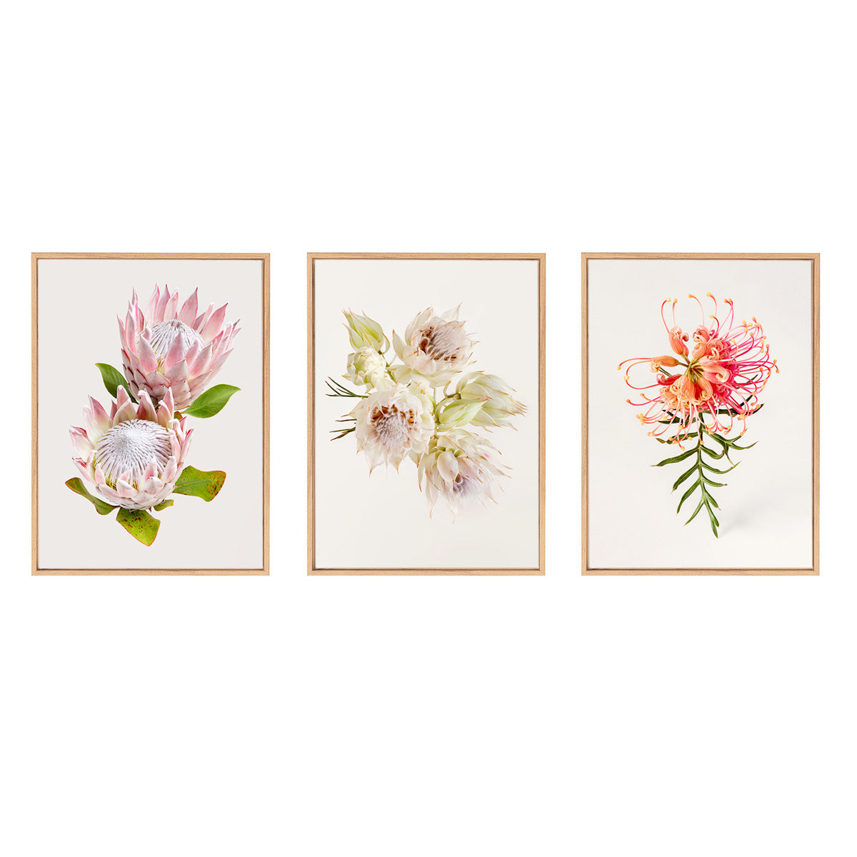 Tenderness | Set of 3