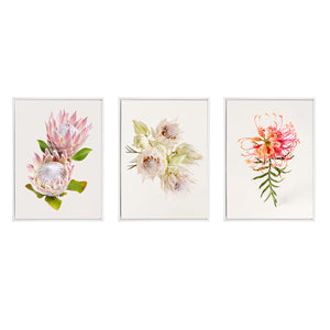 Tenderness | Set of 3