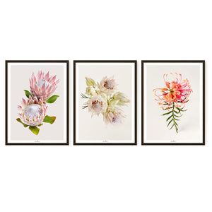 Tenderness | Set of 3