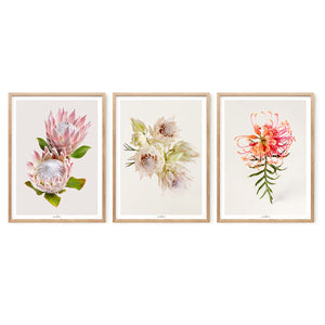 Tenderness | Set of 3