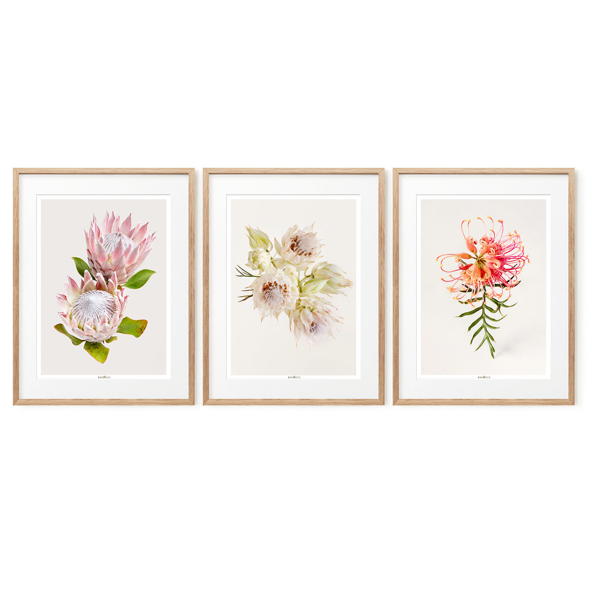 Tenderness | Set of 3