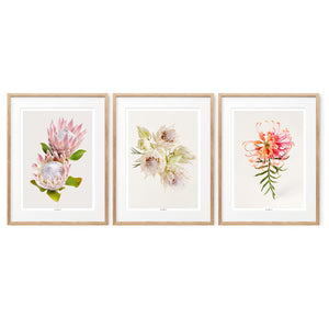 Tenderness | Set of 3