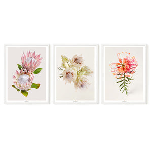 Tenderness | Set of 3