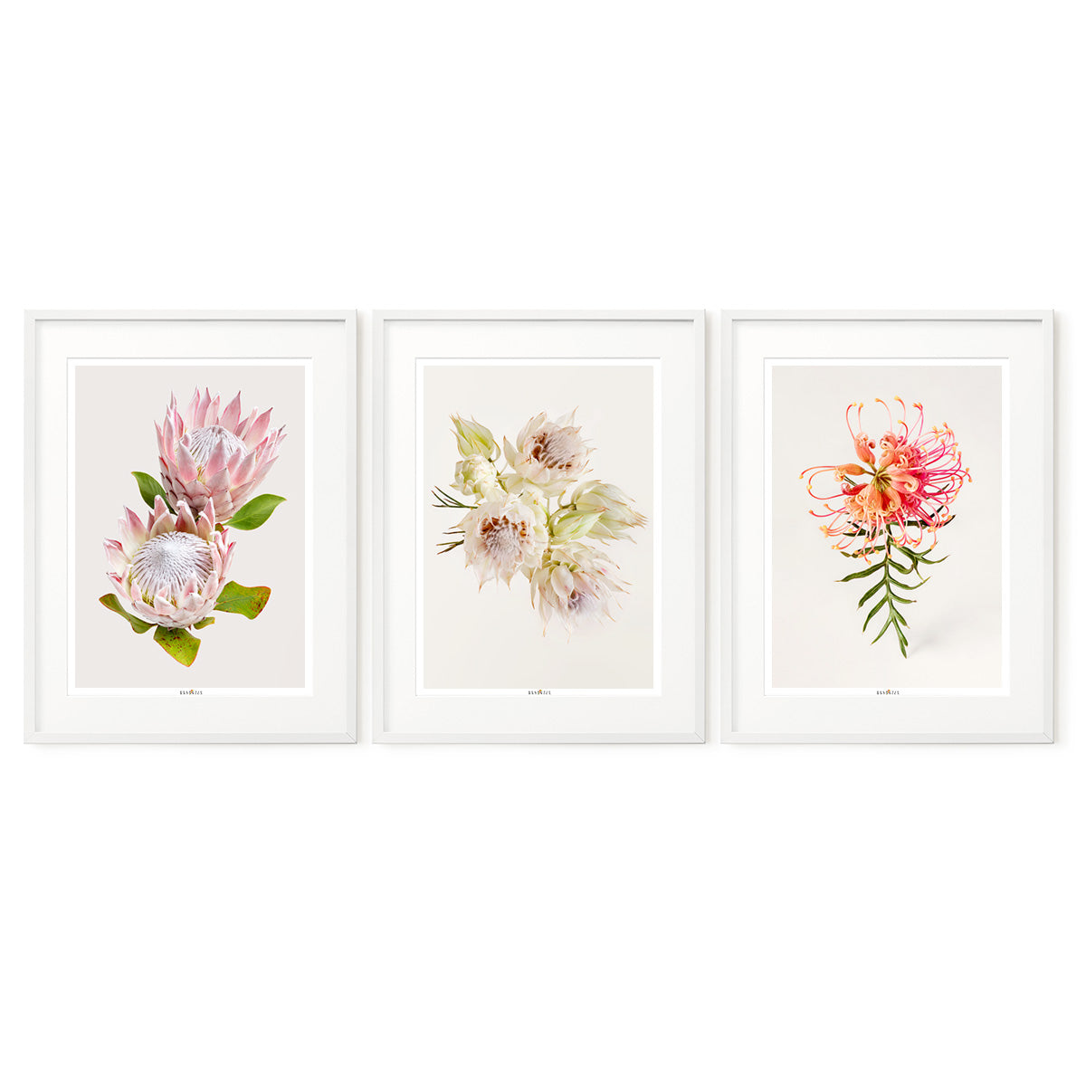 Tenderness | Set of 3