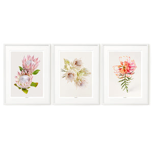 Tenderness | Set of 3