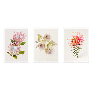 Tenderness | Set of 3