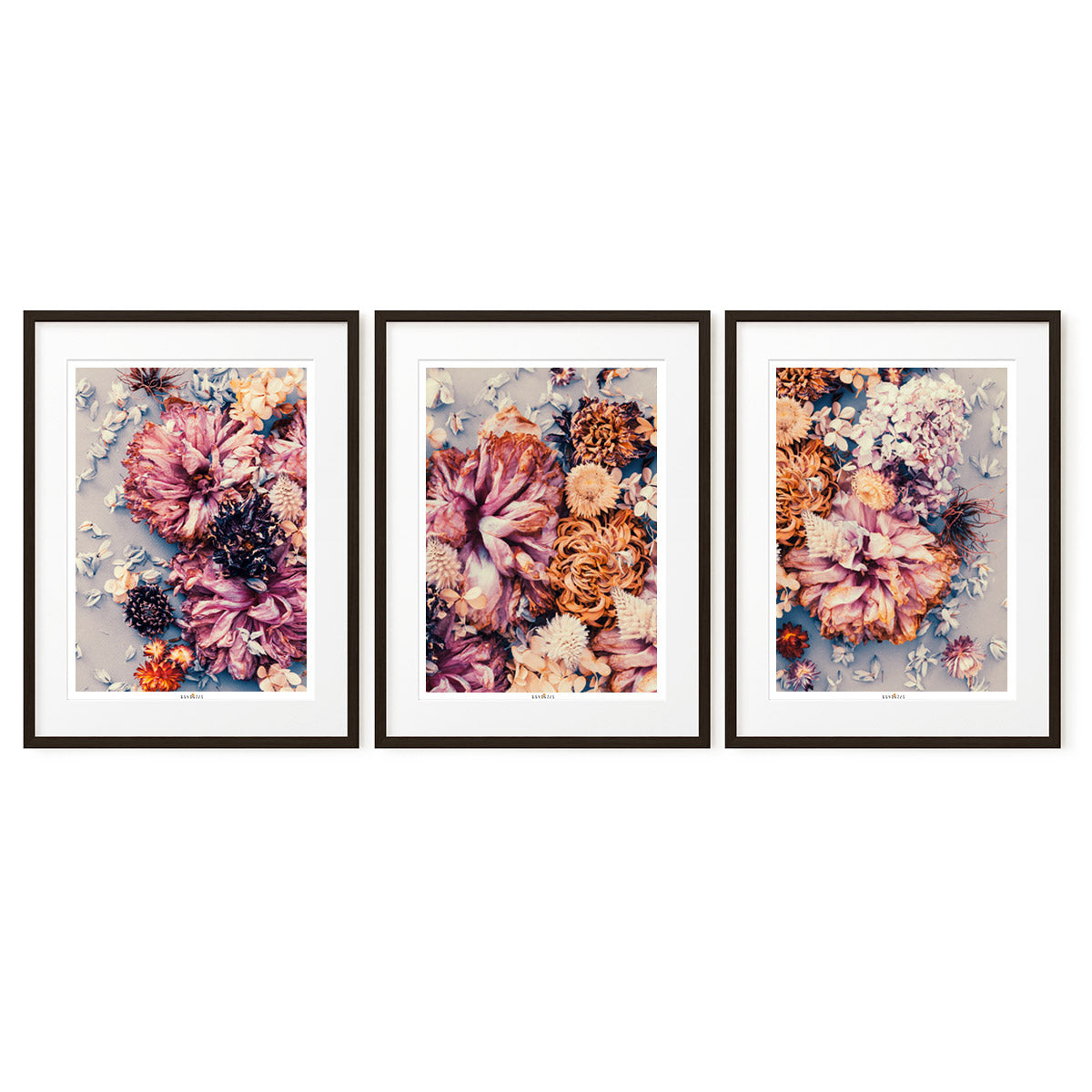 Purple Mix | Set of 3