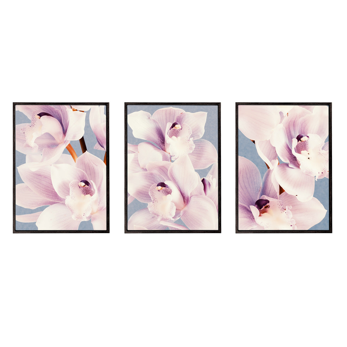 Orchid Dance | Set of 3