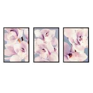 Orchid Dance | Set of 3