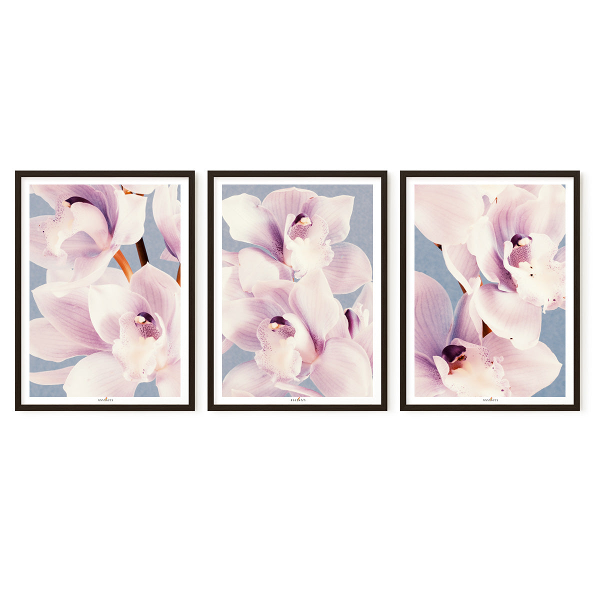 Orchid Dance | Set of 3