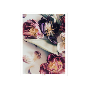 Tulip Mood | Set of 3